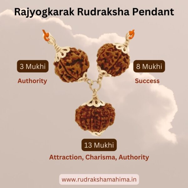 Rajyogkarak 3 Rudraksha Pendant