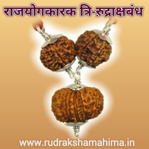 rudraksha for politicians