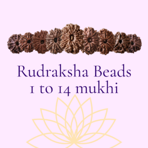 Rudraksha Beads